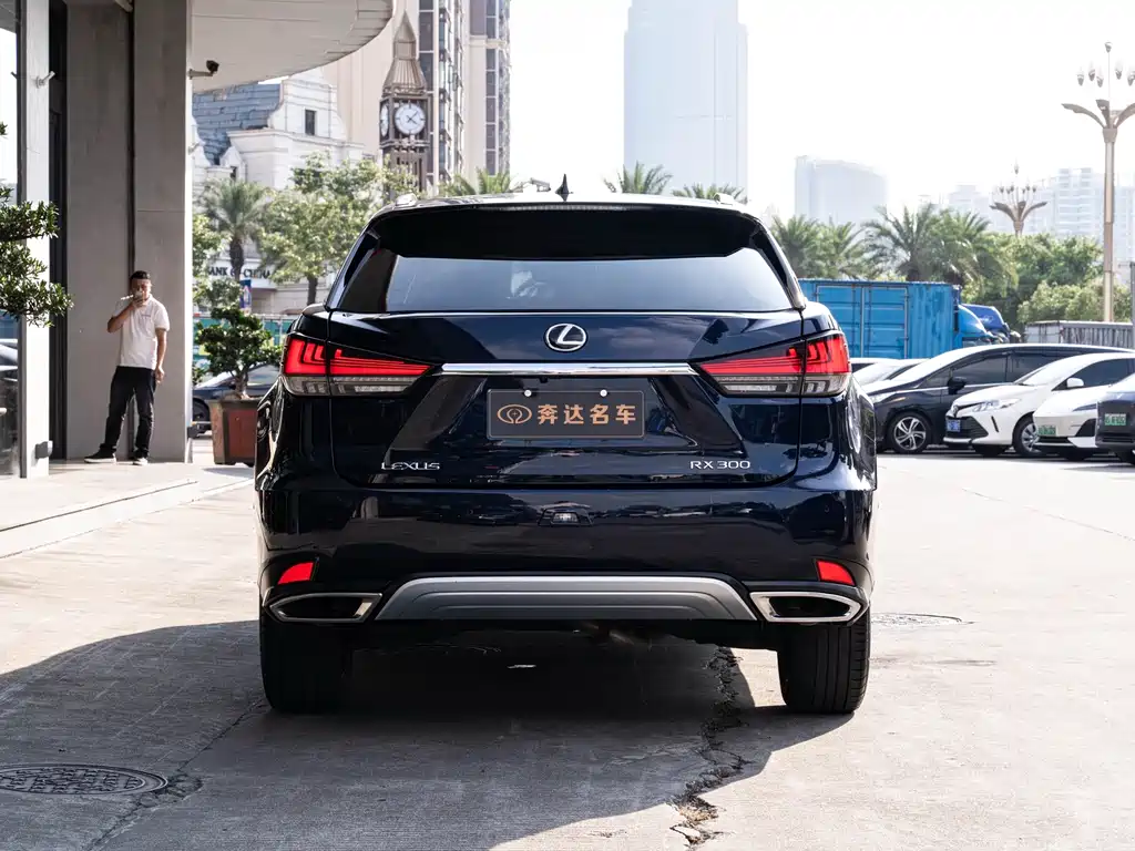 Lexus RX — фото 5