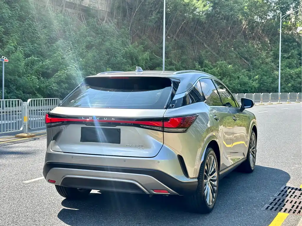 Lexus RX — фото 17