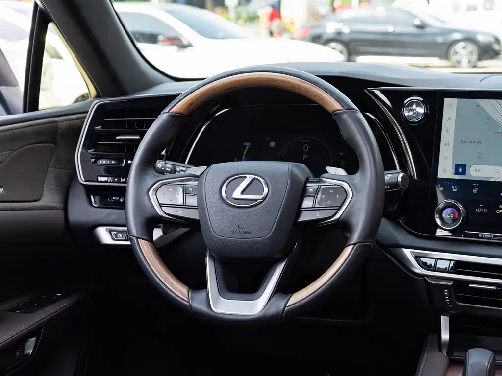 Lexus RX New Energy — фото 14