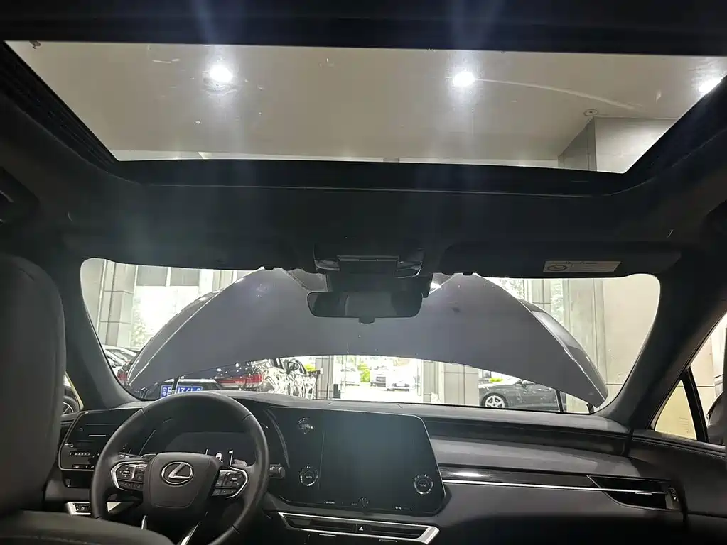 Lexus RX — фото 17