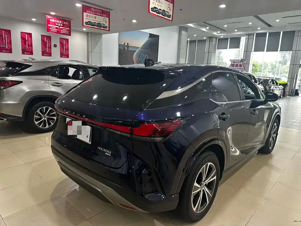 Lexus RX — фото 4