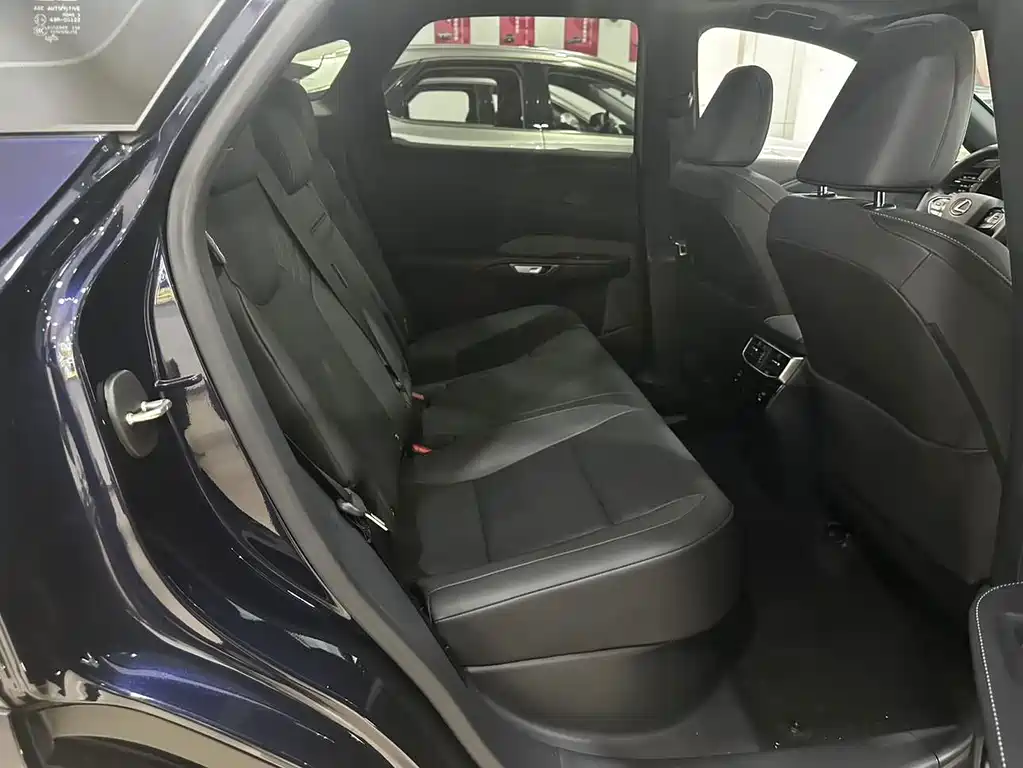 Lexus RX — фото 10