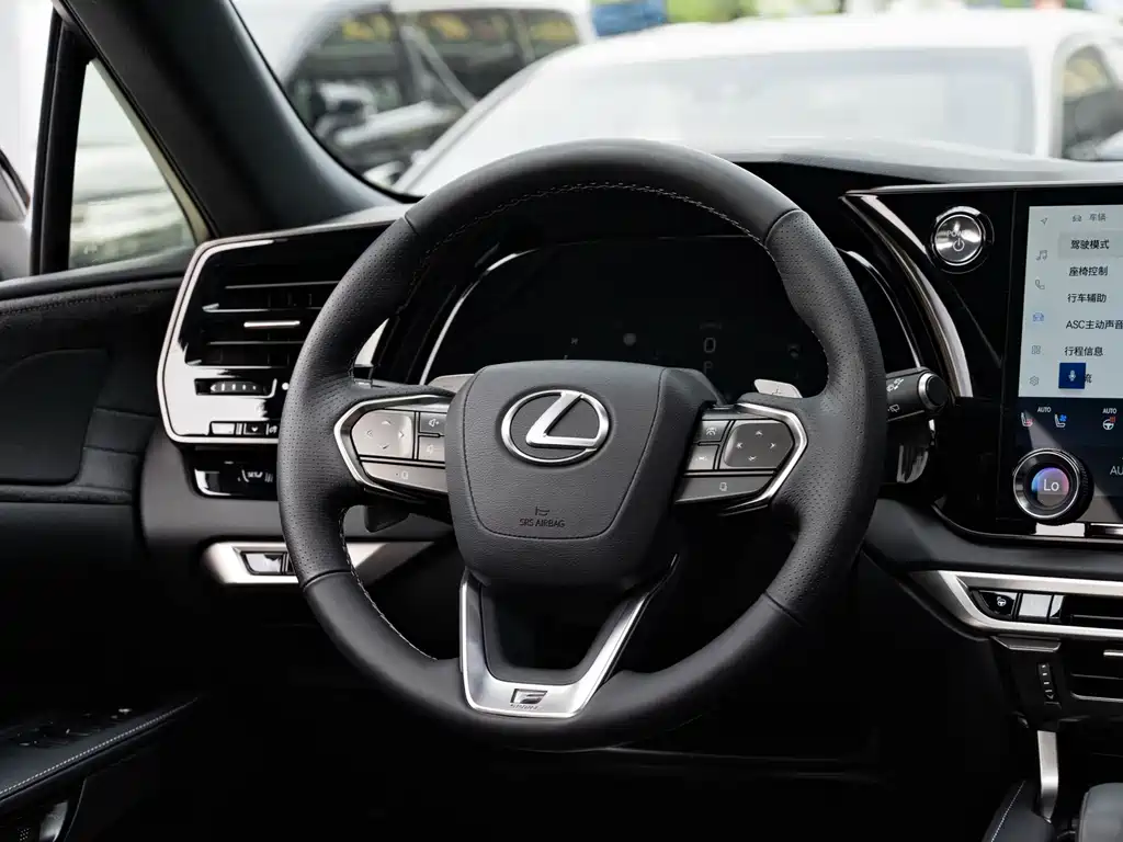 Lexus RX — фото 14