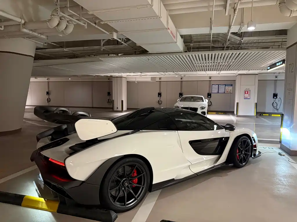 McLaren Senna — фото 4