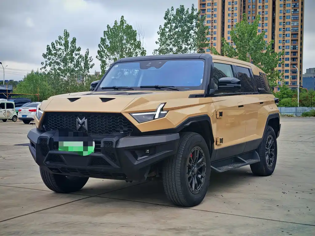 Mengshi Mengshi 917