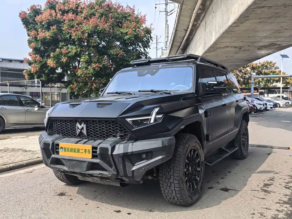 Mengshi Mengshi 917