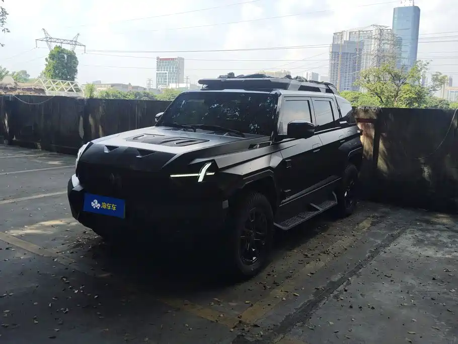 Mengshi Mengshi 917