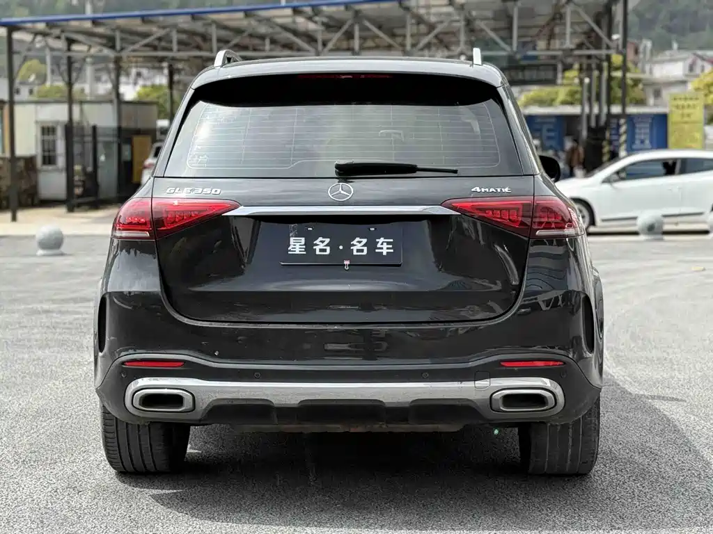 Mercedes-Benz GLE (Import) — фото 9
