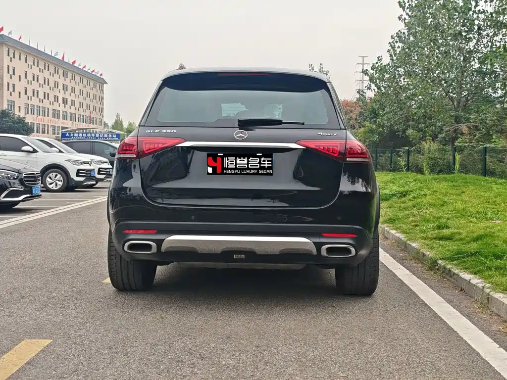 Mercedes-Benz GLE (Import) — фото 8