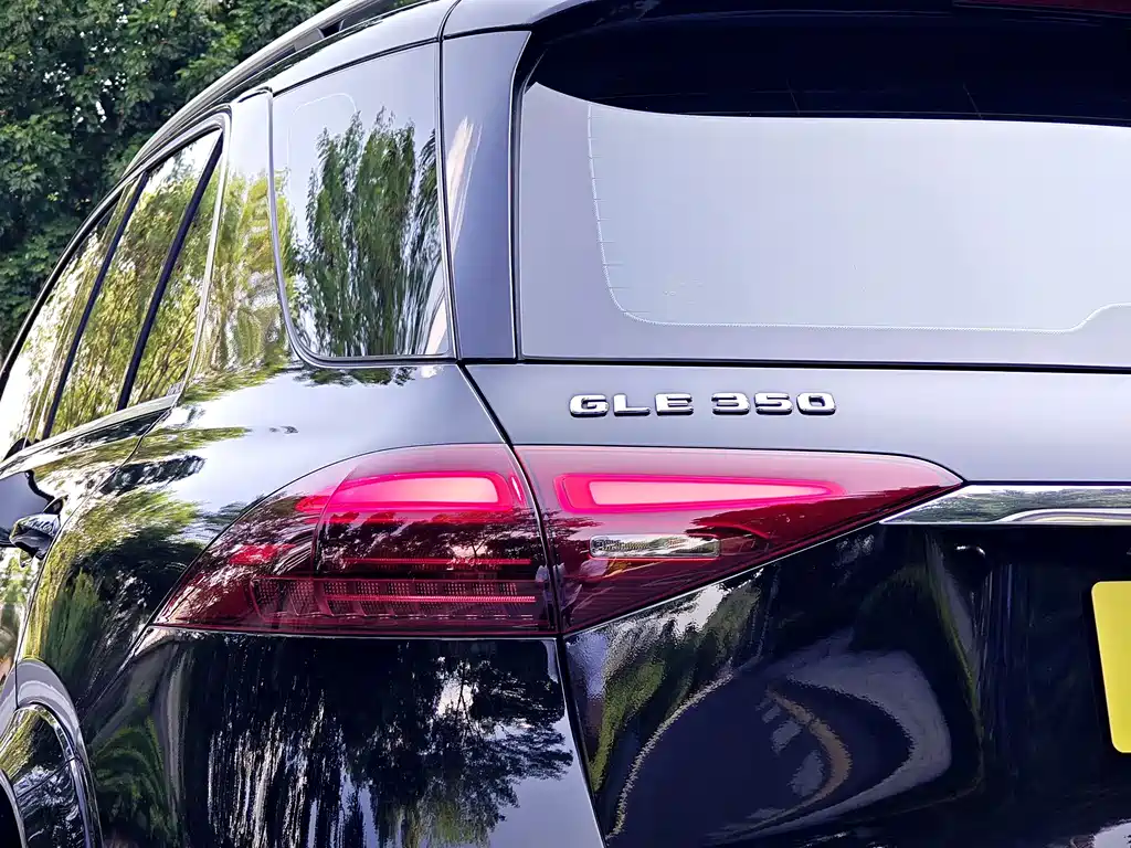 Mercedes-Benz GLE (Import) — фото 30