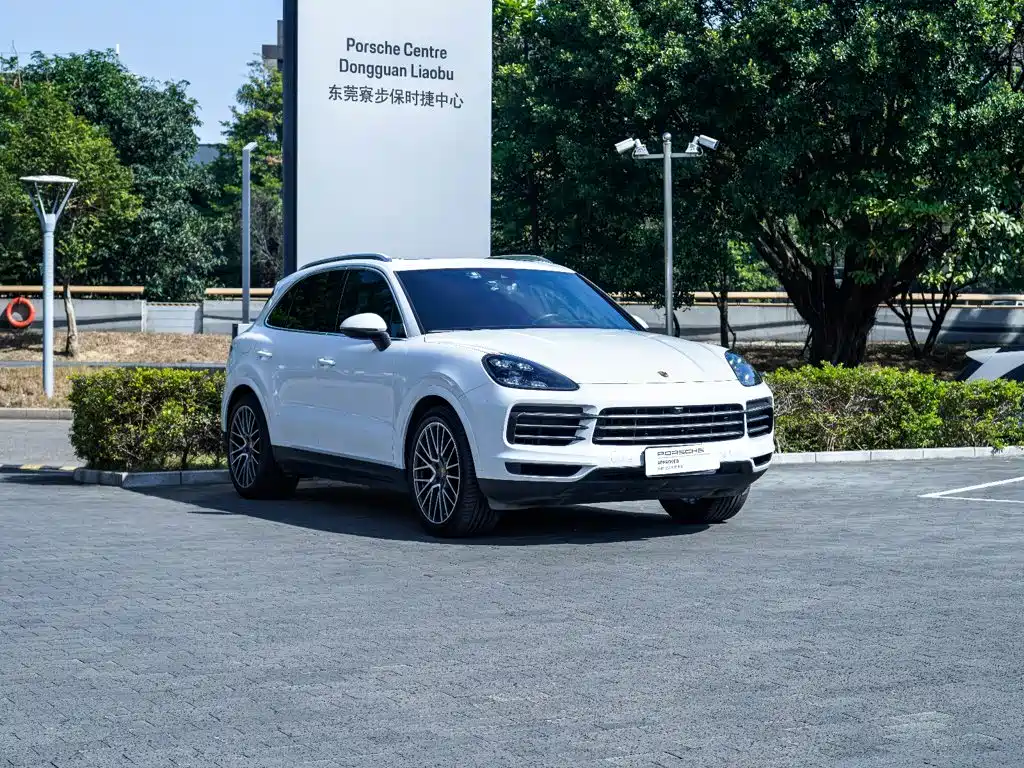 Porsche Cayenne — фото 7