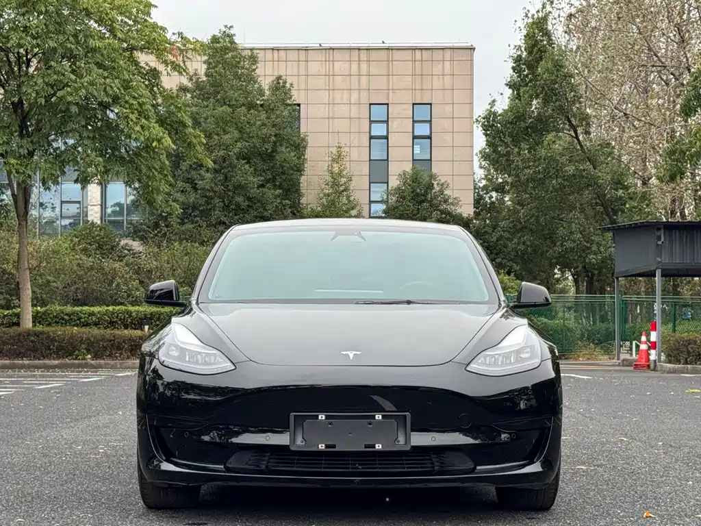 Tesla Model 3 — фото 2