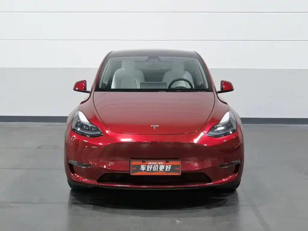 Tesla Model Y — фото 3