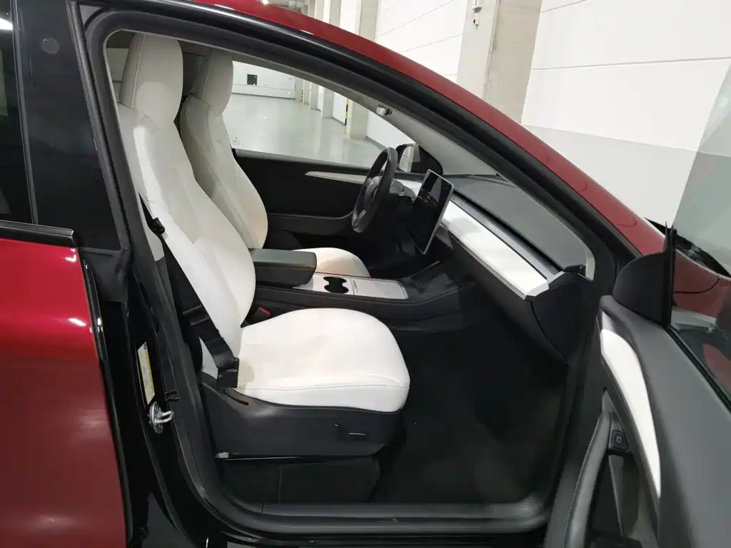Tesla Model Y — фото 23