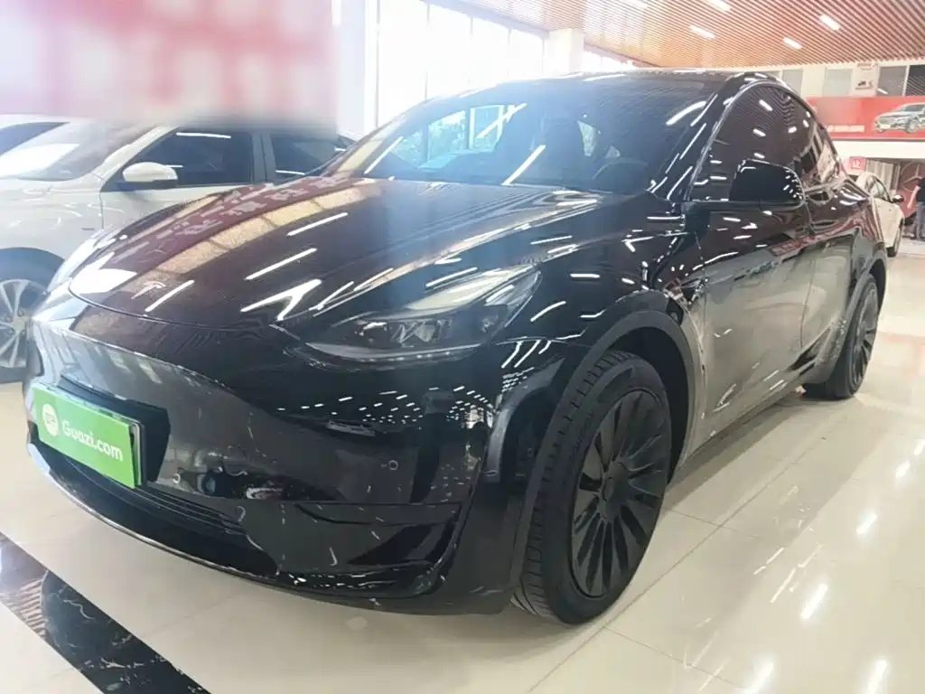 Tesla Model Y — фото 2