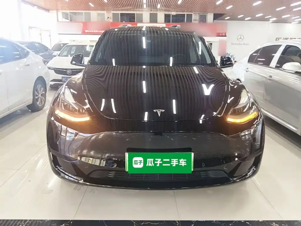 Tesla Model Y — фото 3