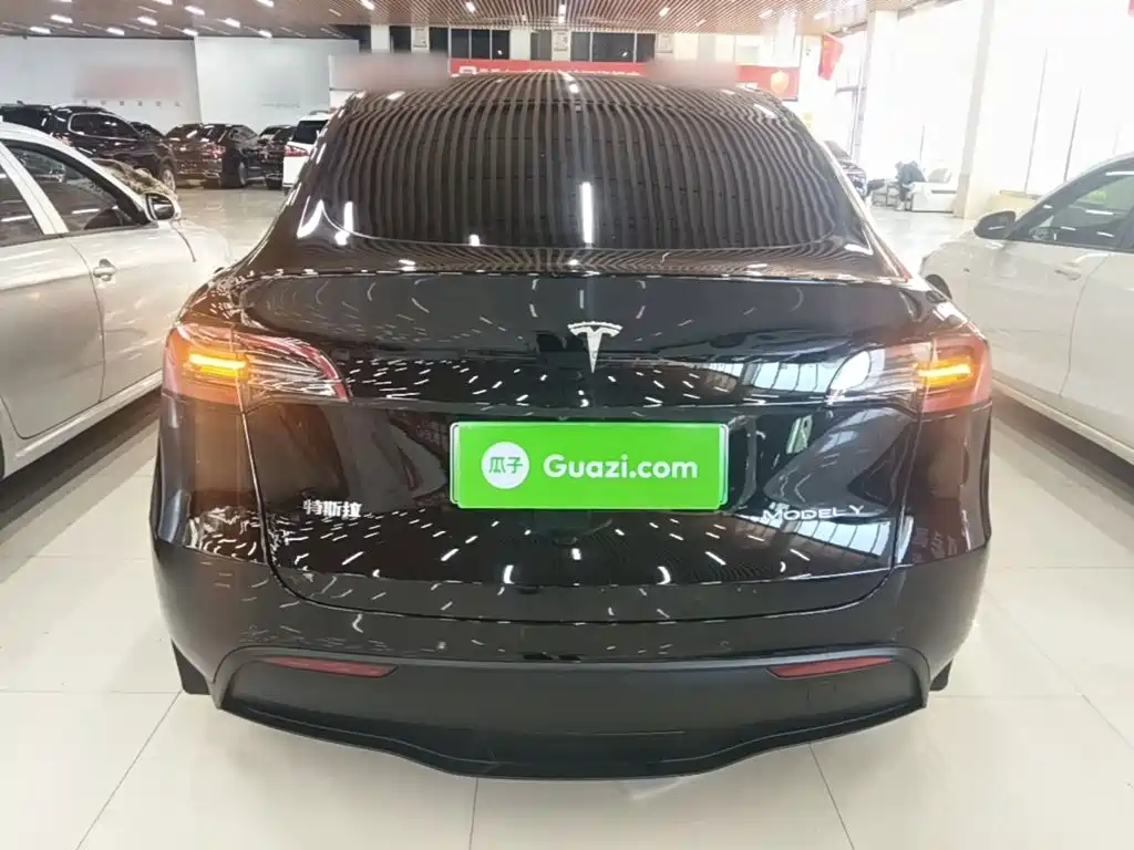 Tesla Model Y — фото 6