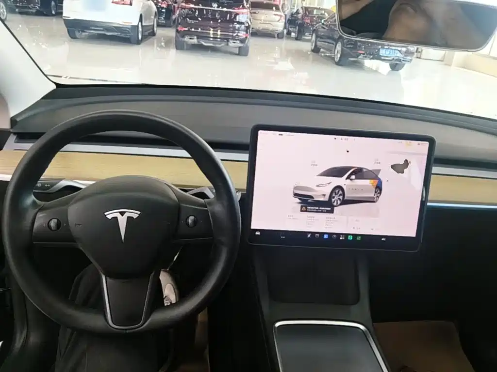 Tesla Model Y — фото 10
