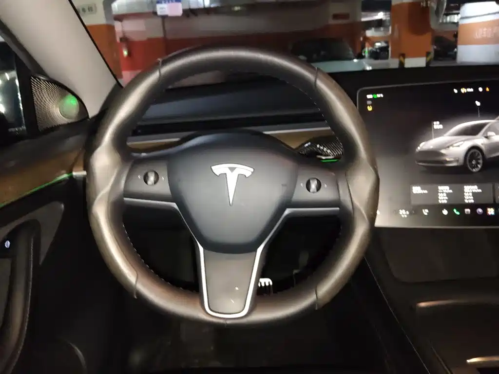 Tesla Model Y — фото 3