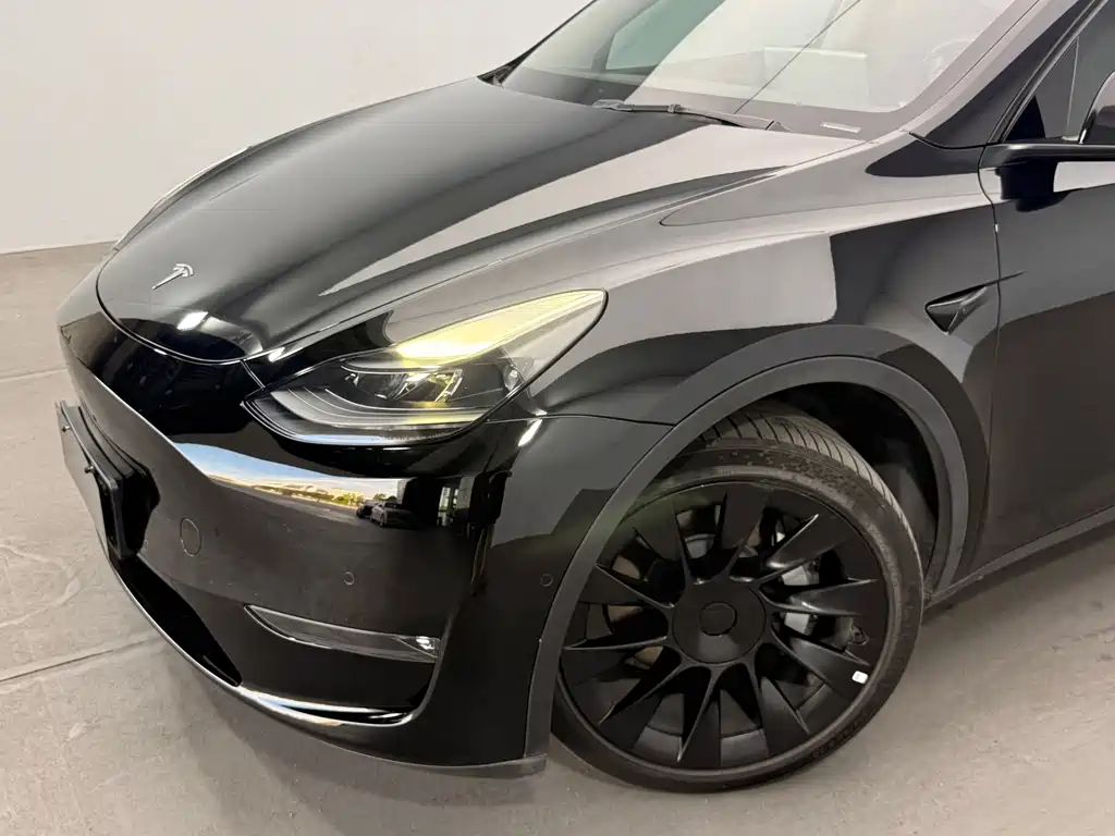 Tesla Model Y — фото 11
