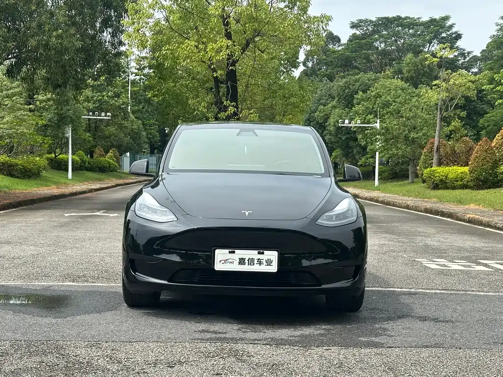 Tesla Model Y — фото 2