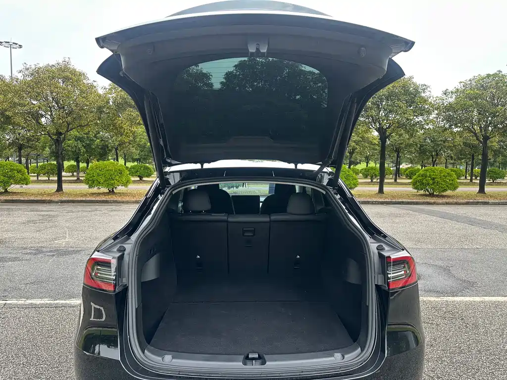 Tesla Model Y — фото 18