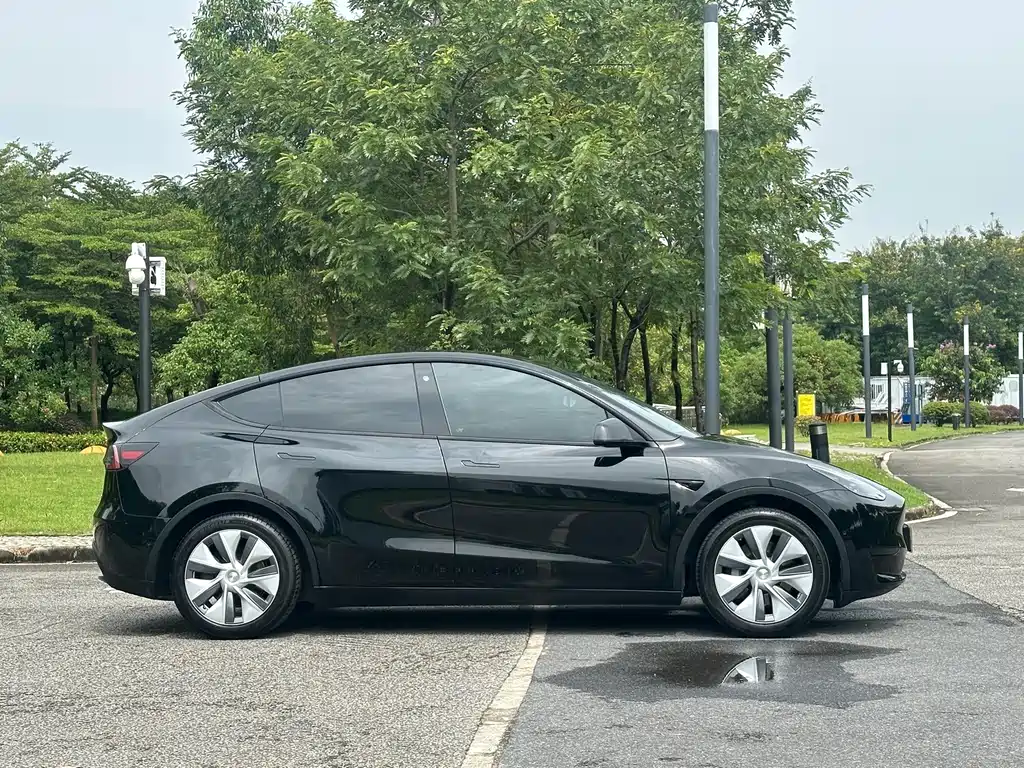 Tesla Model Y — фото 4