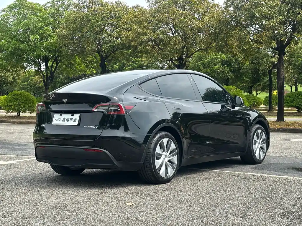 Tesla Model Y — фото 6
