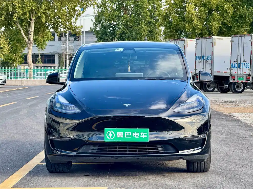 Tesla Model Y — фото 2
