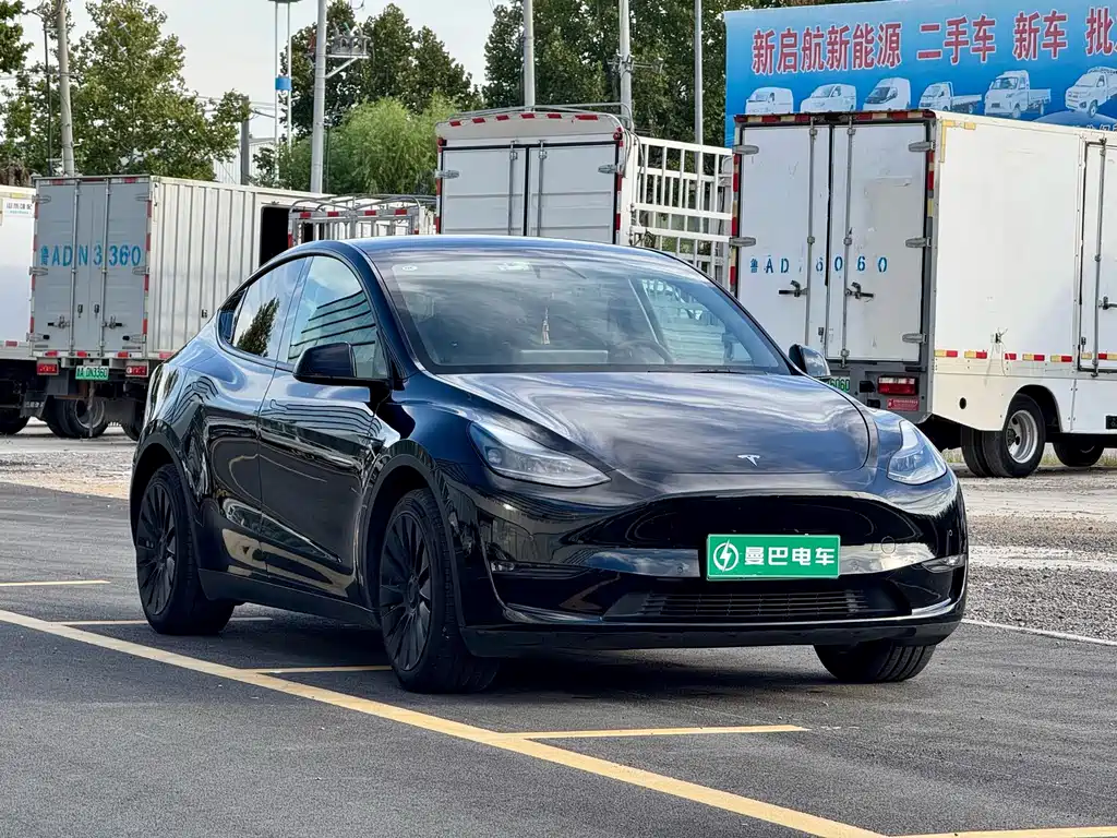 Tesla Model Y — фото 3