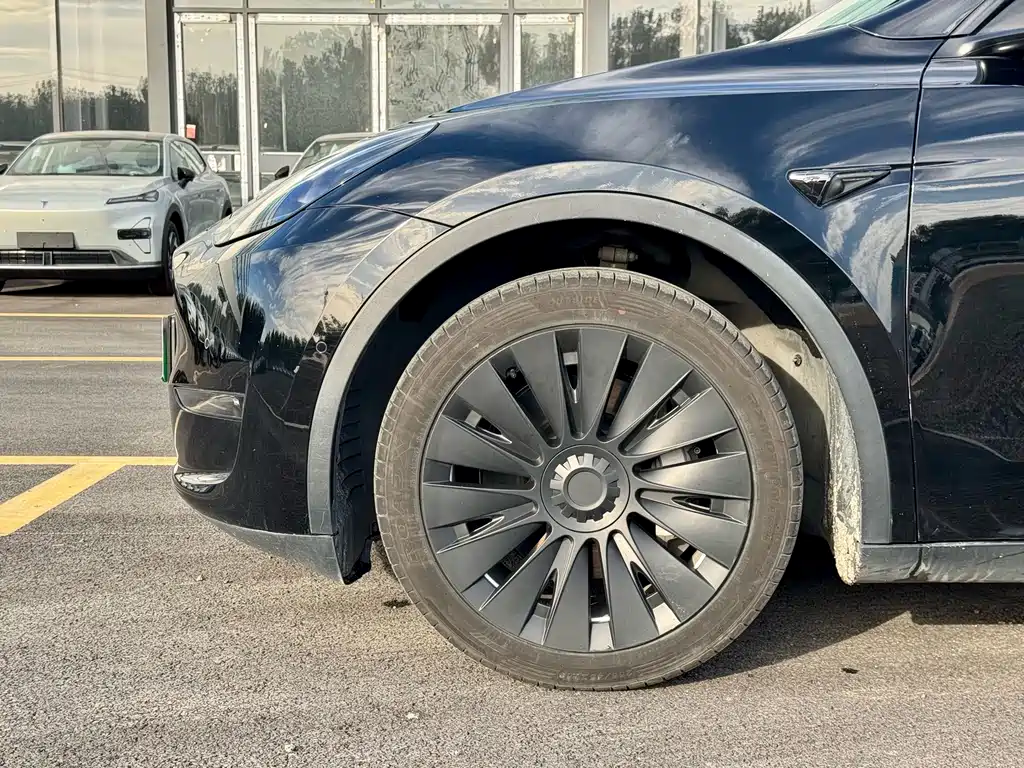 Tesla Model Y — фото 5