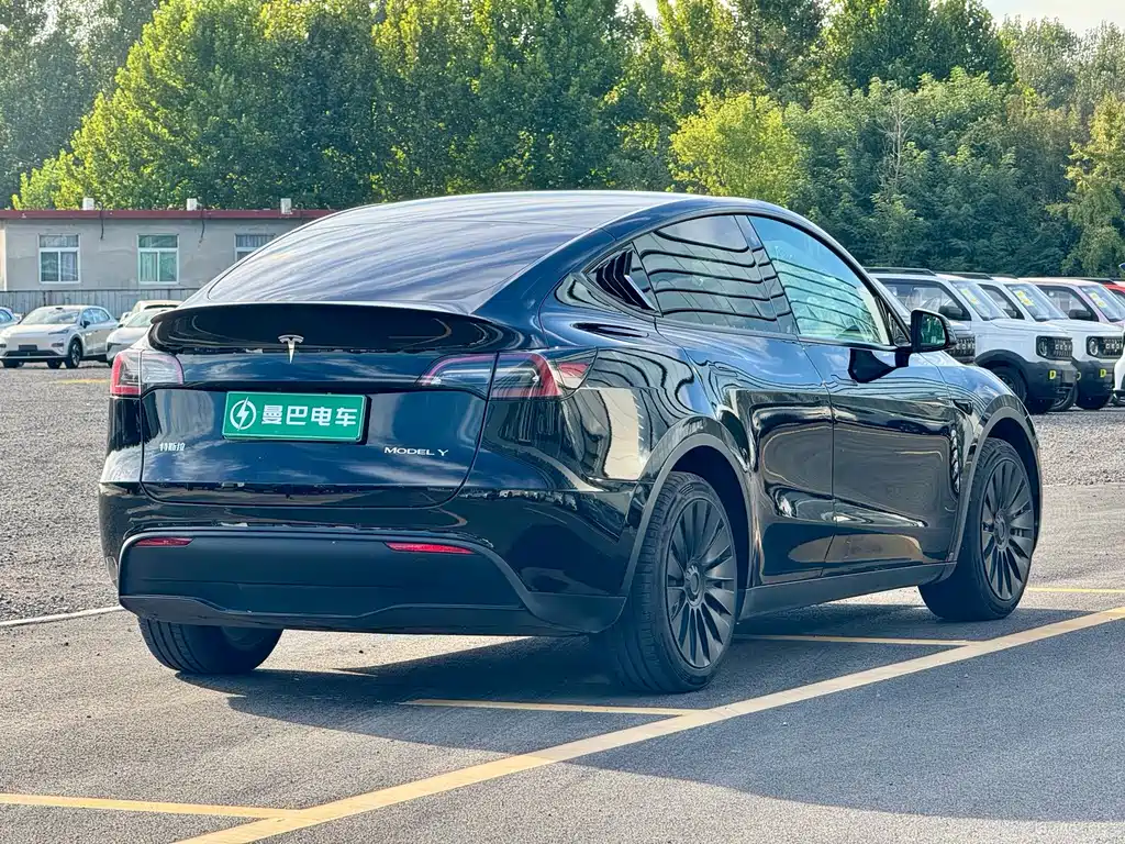 Tesla Model Y — фото 6