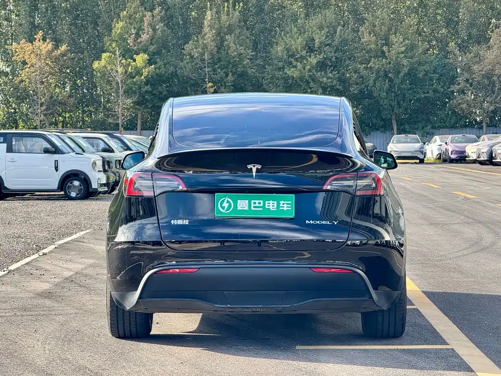 Tesla Model Y — фото 7