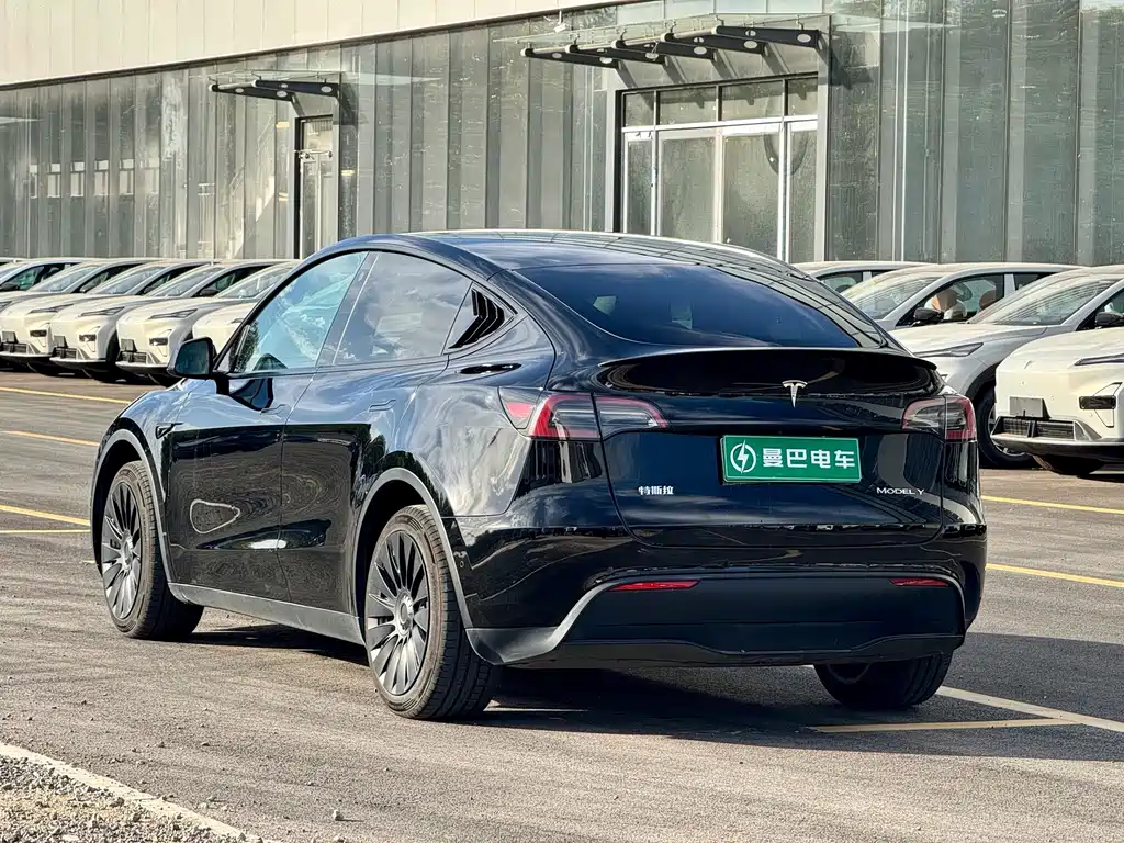 Tesla Model Y — фото 8