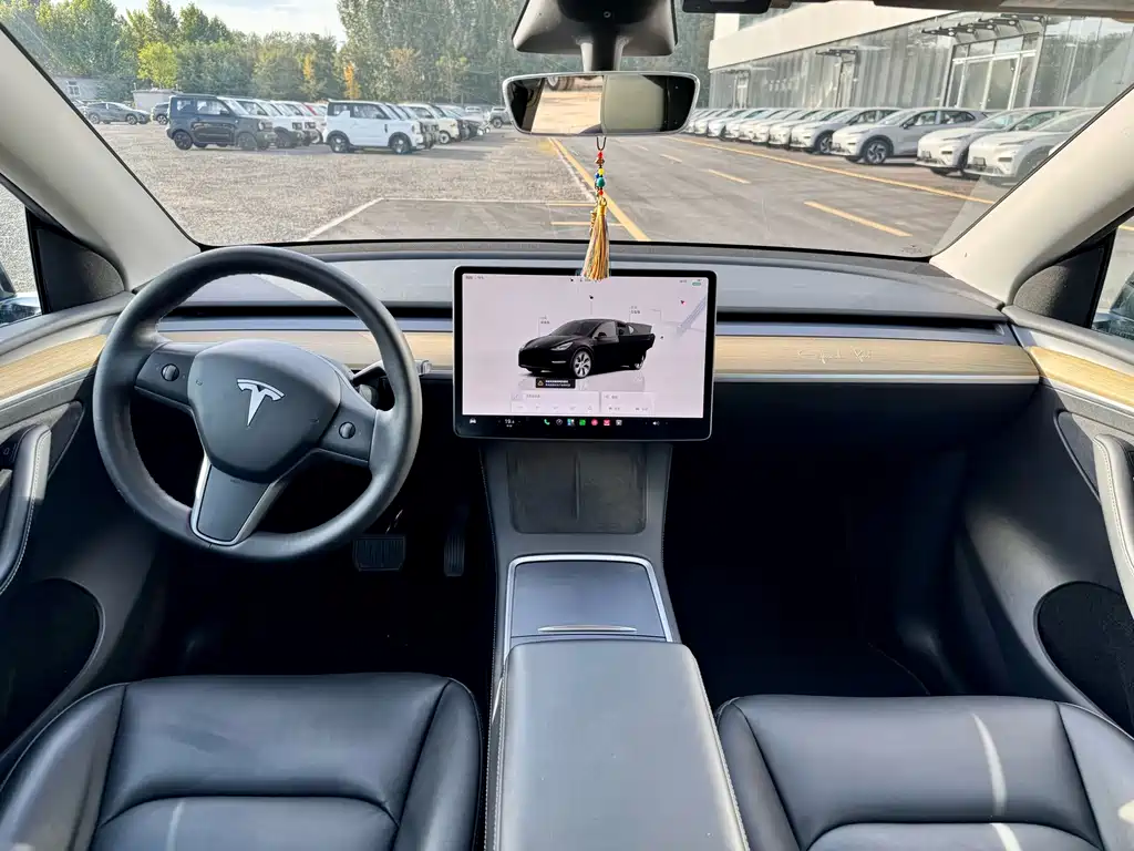 Tesla Model Y — фото 9