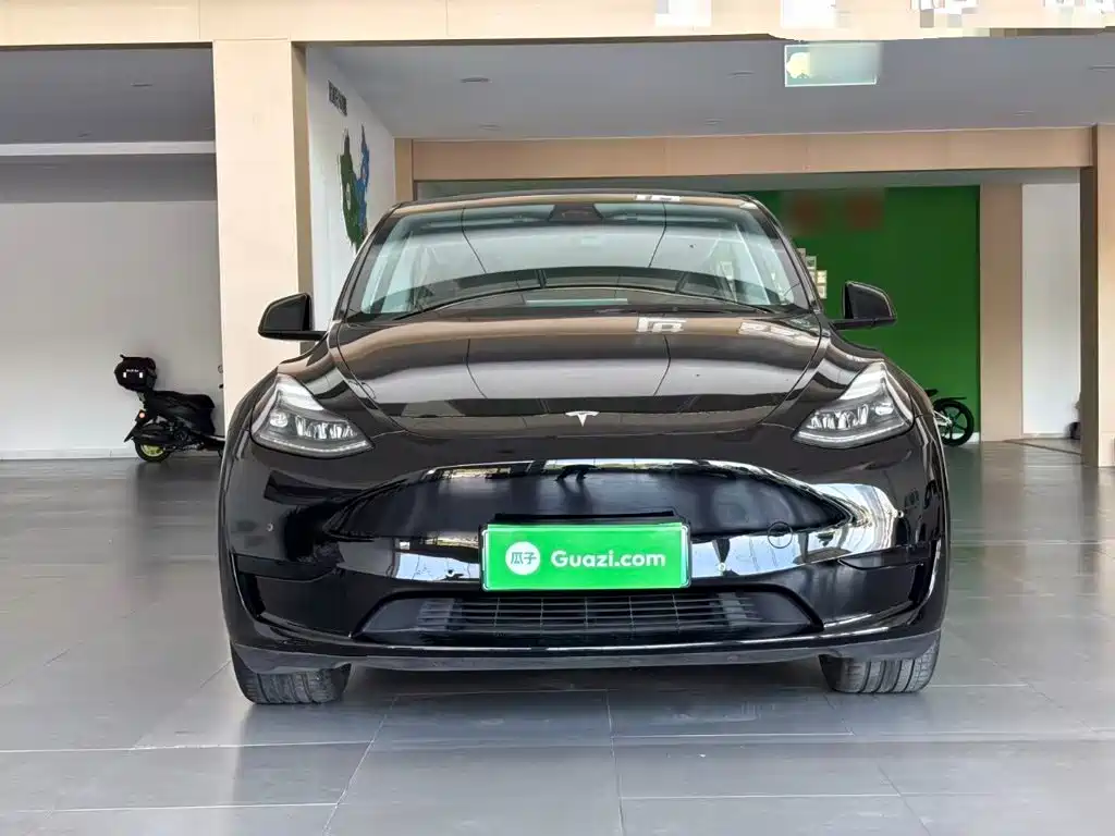 Tesla Model Y — фото 3
