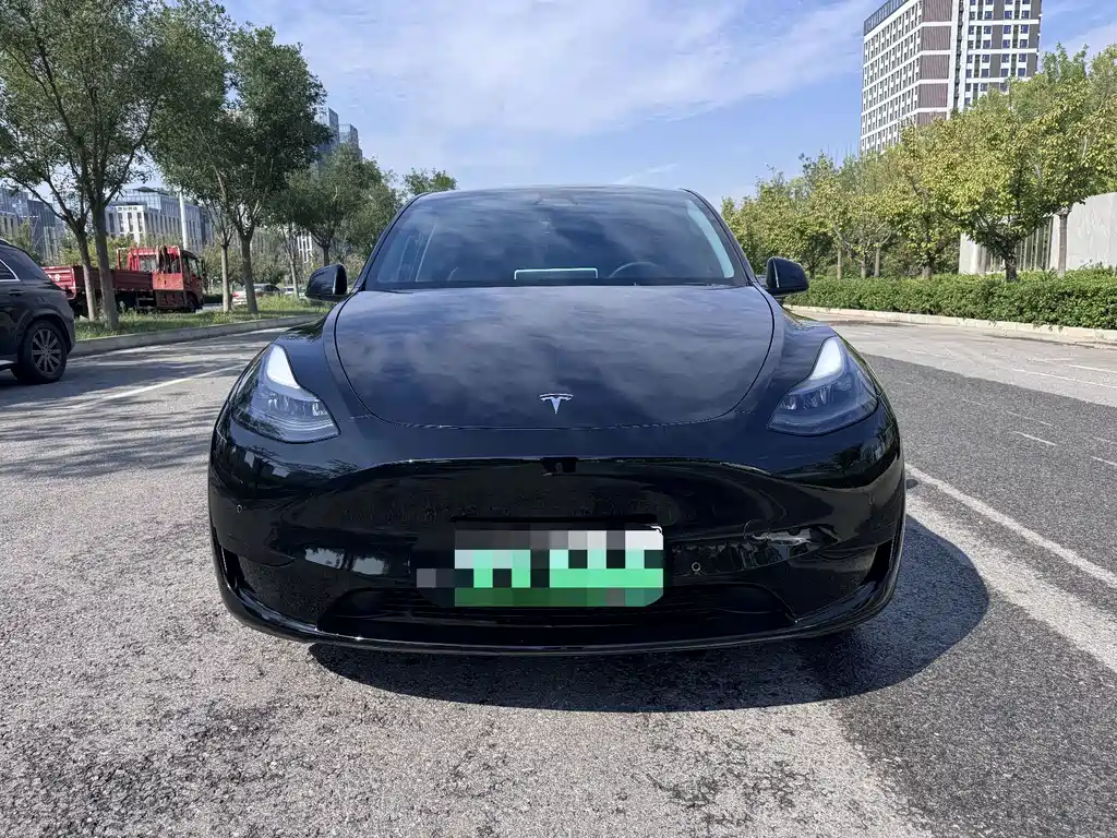 Tesla Model Y — фото 2
