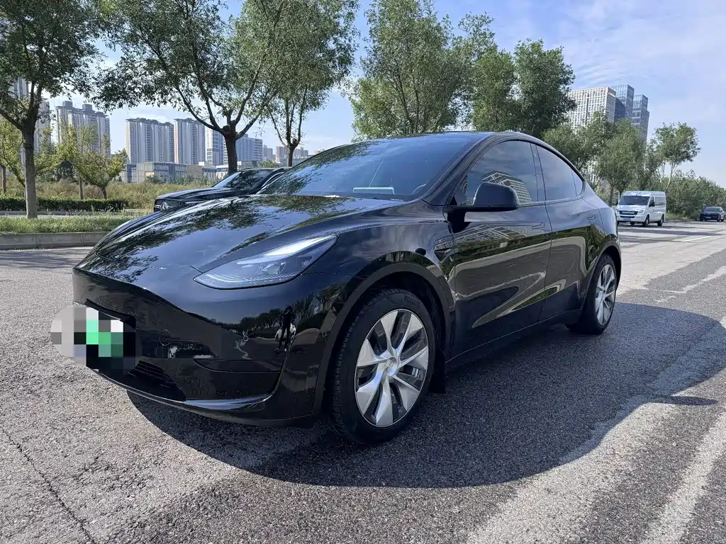 Tesla Model Y — фото 3