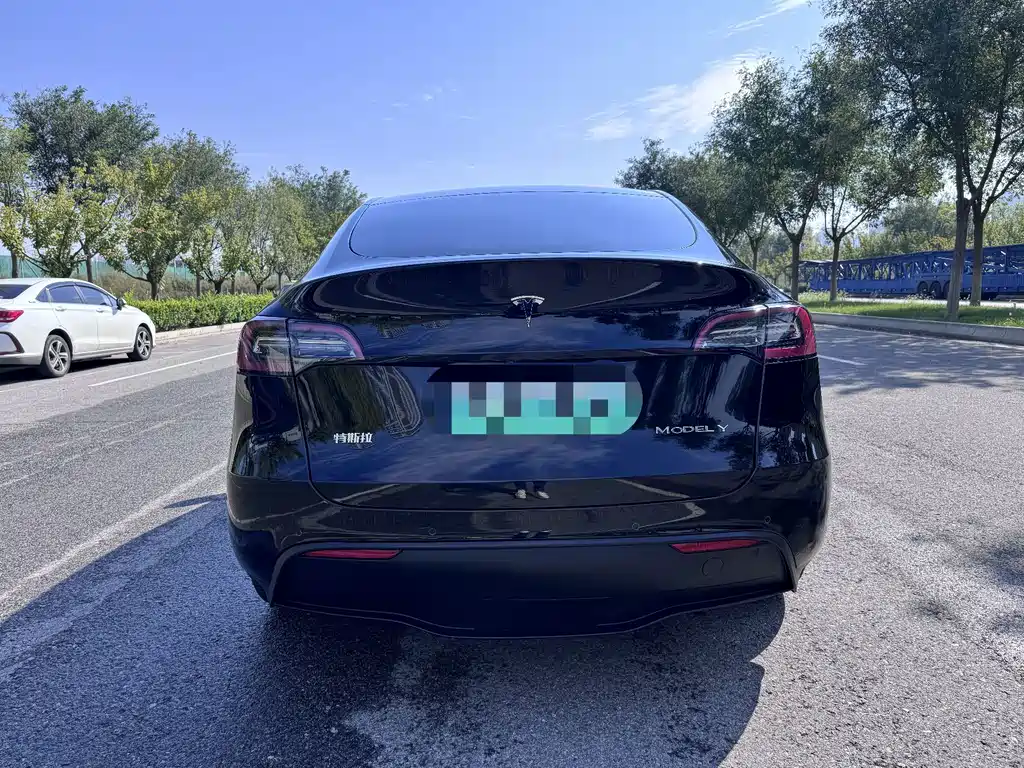 Tesla Model Y — фото 5