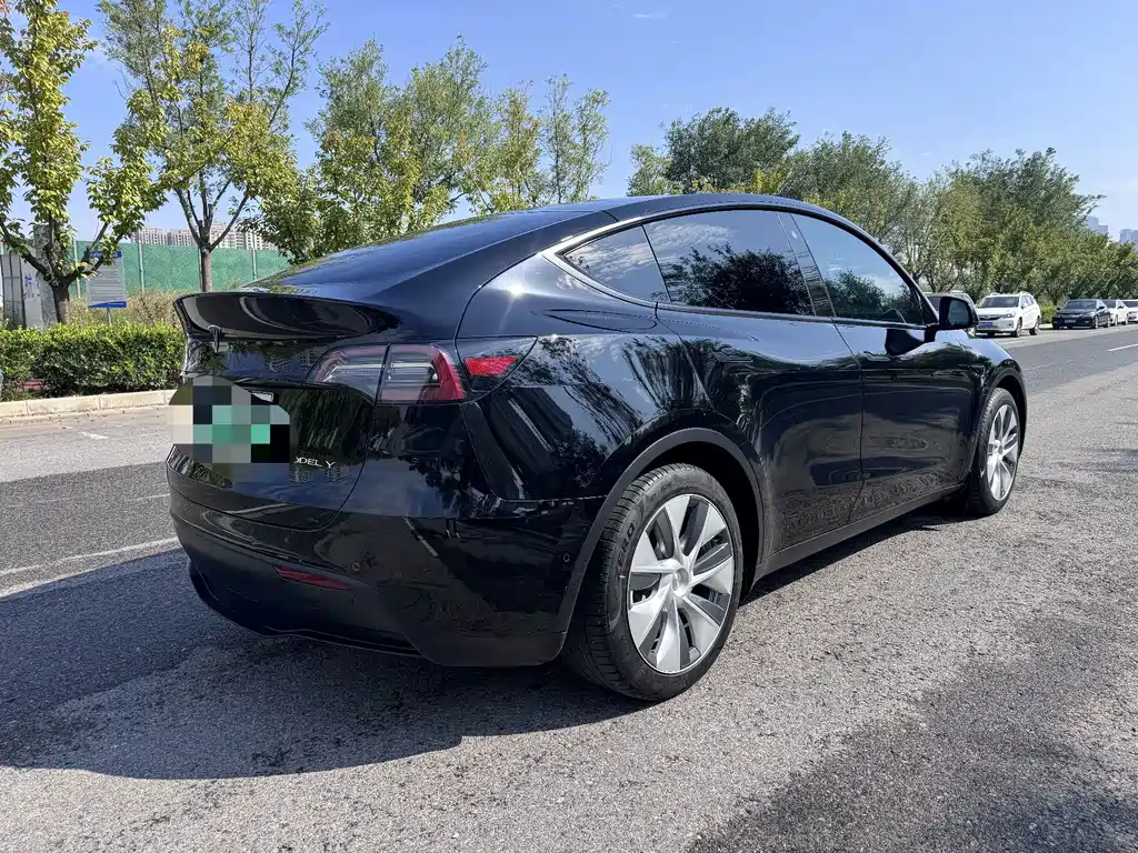 Tesla Model Y — фото 6