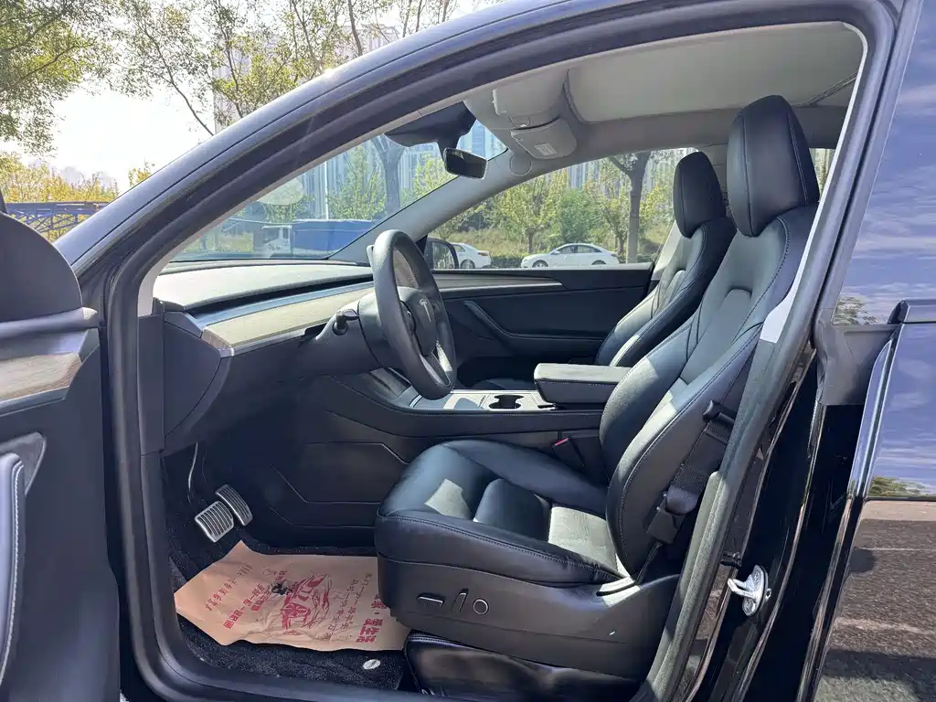 Tesla Model Y — фото 8