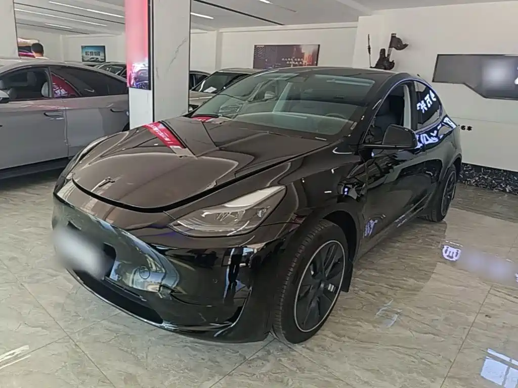 Tesla Model Y — фото 2