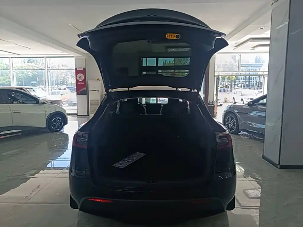Tesla Model Y — фото 19