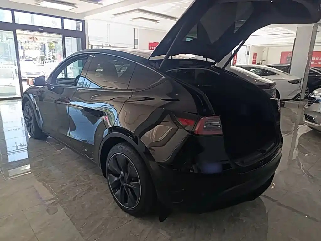 Tesla Model Y — фото 5