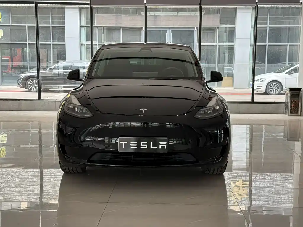Tesla Model Y — фото 2