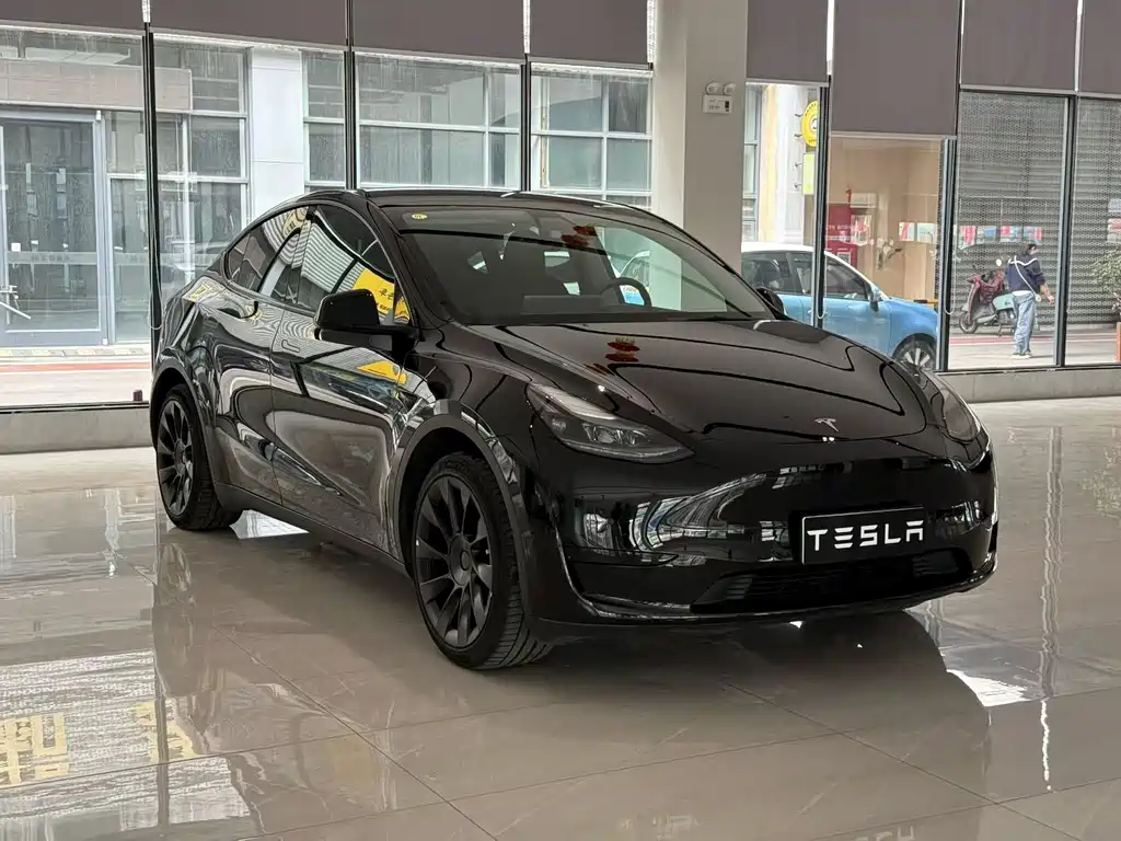 Tesla Model Y — фото 3