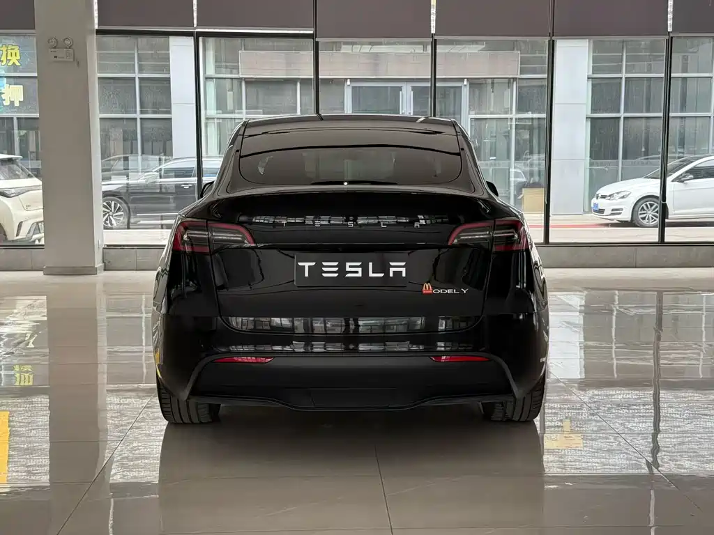 Tesla Model Y — фото 8