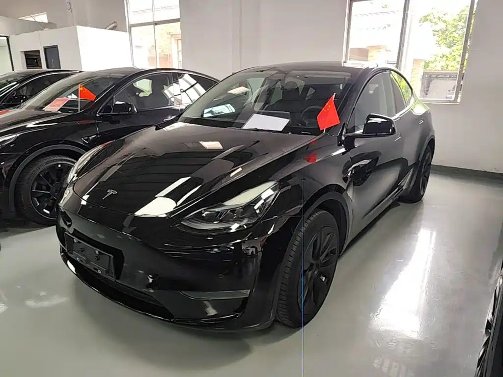 Tesla Model Y — фото 2