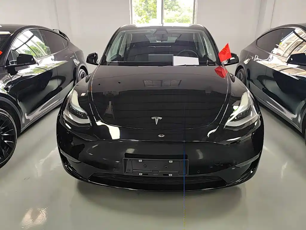 Tesla Model Y — фото 3