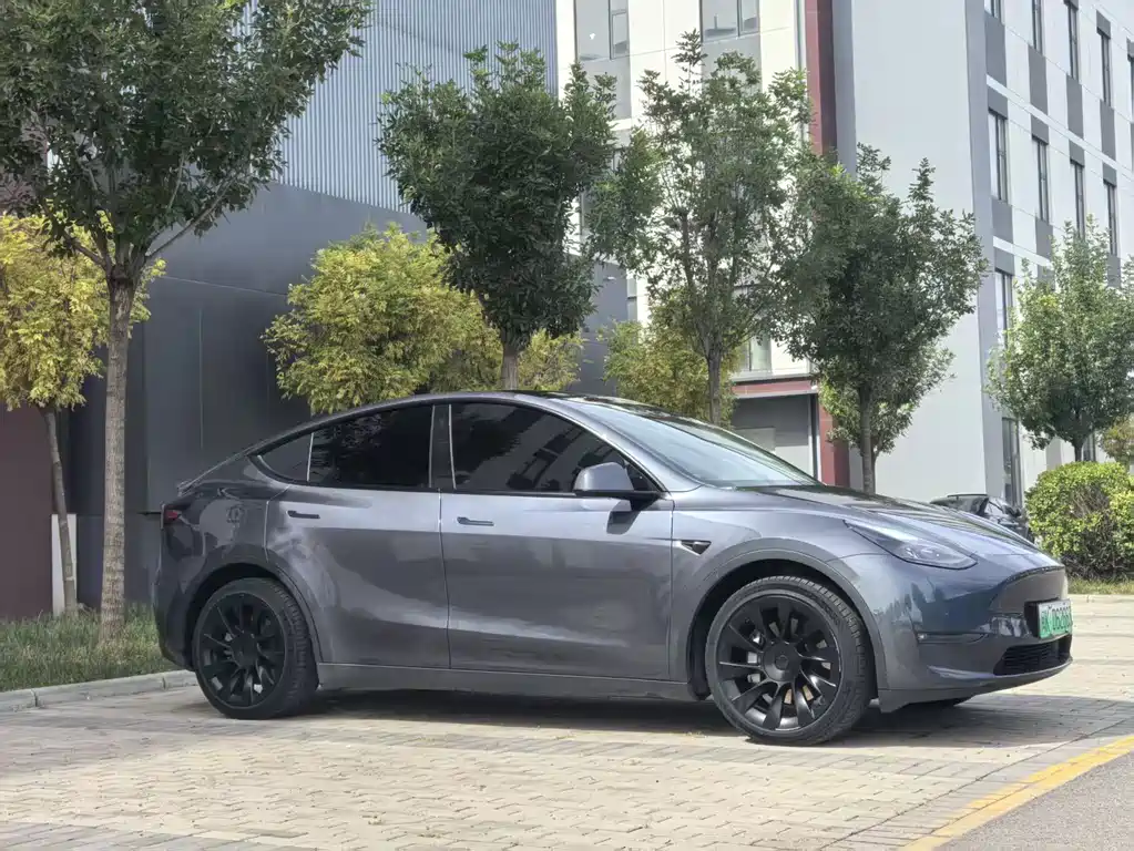 Tesla Model Y — фото 2